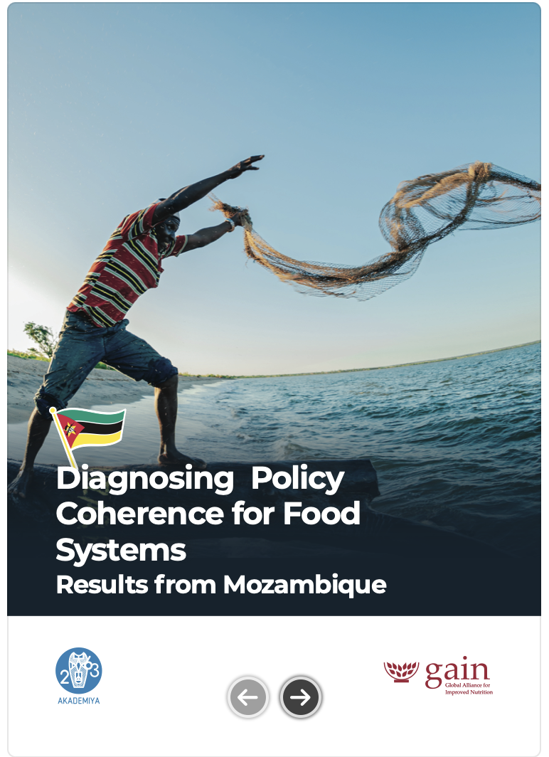 Diagnosing Policy Coherence for Food Systems Results from Mozambique